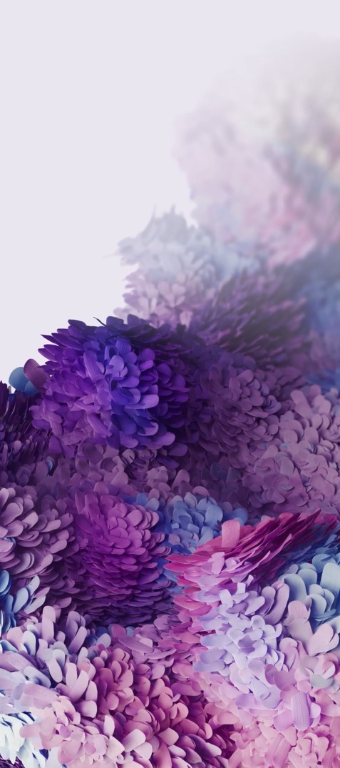 Wallpaper